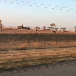 Meet your Posher, Ava